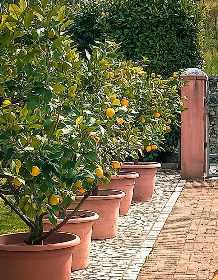 Casa Vacanze Monte Villa Pieve di Soligo Zewnętrze zdjęcie